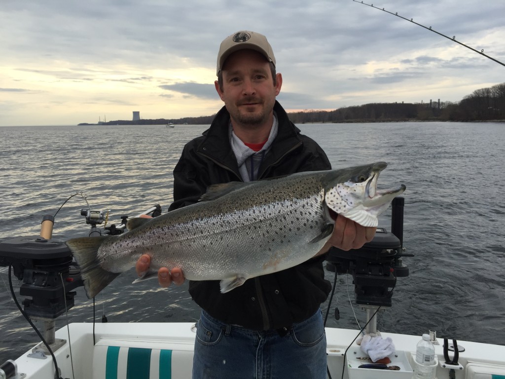 Trout Fishing Lake Ontario Oswego NY