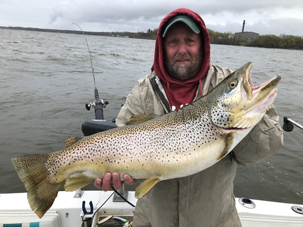 Lake-Ontario-Fishing-Charter 14 lbs Brown Trout